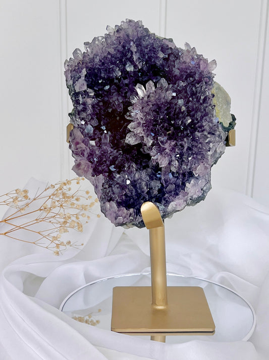 Payment Plan For Lisa