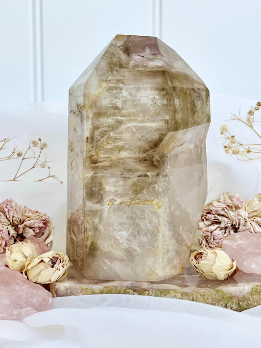 ‘Luminous Veil’ Elestial Smoky Lilac Amethyst Scepter with Enhydro 365