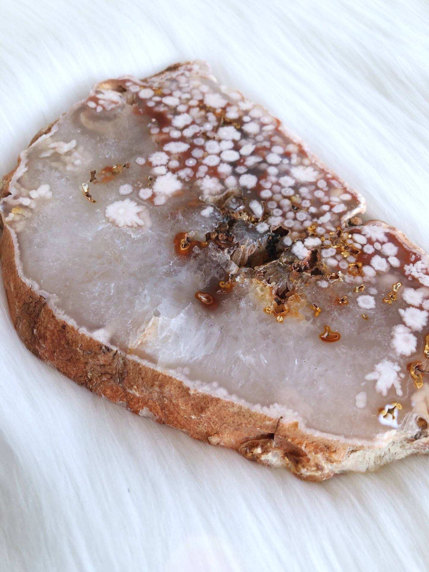 Flower Agate Flat Slab with Pale Lilac Amethyst & Quartz
