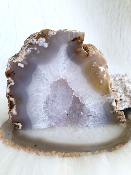Enchanting Flower Agate Standing Geode Slice with Sparkling Quartz Druzy Pocket