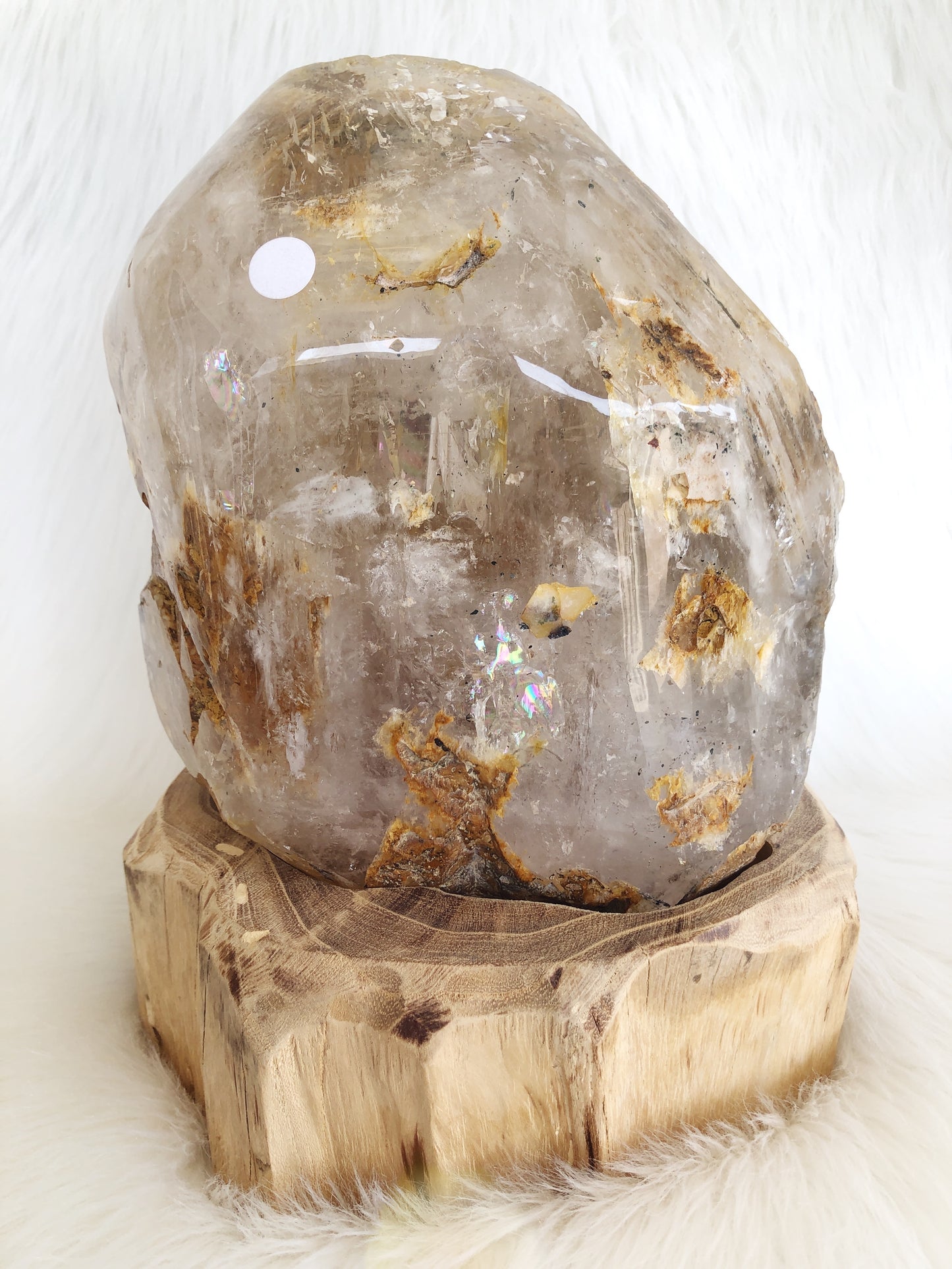 Elestial Dry Enhydro Clear Quartz Freeform