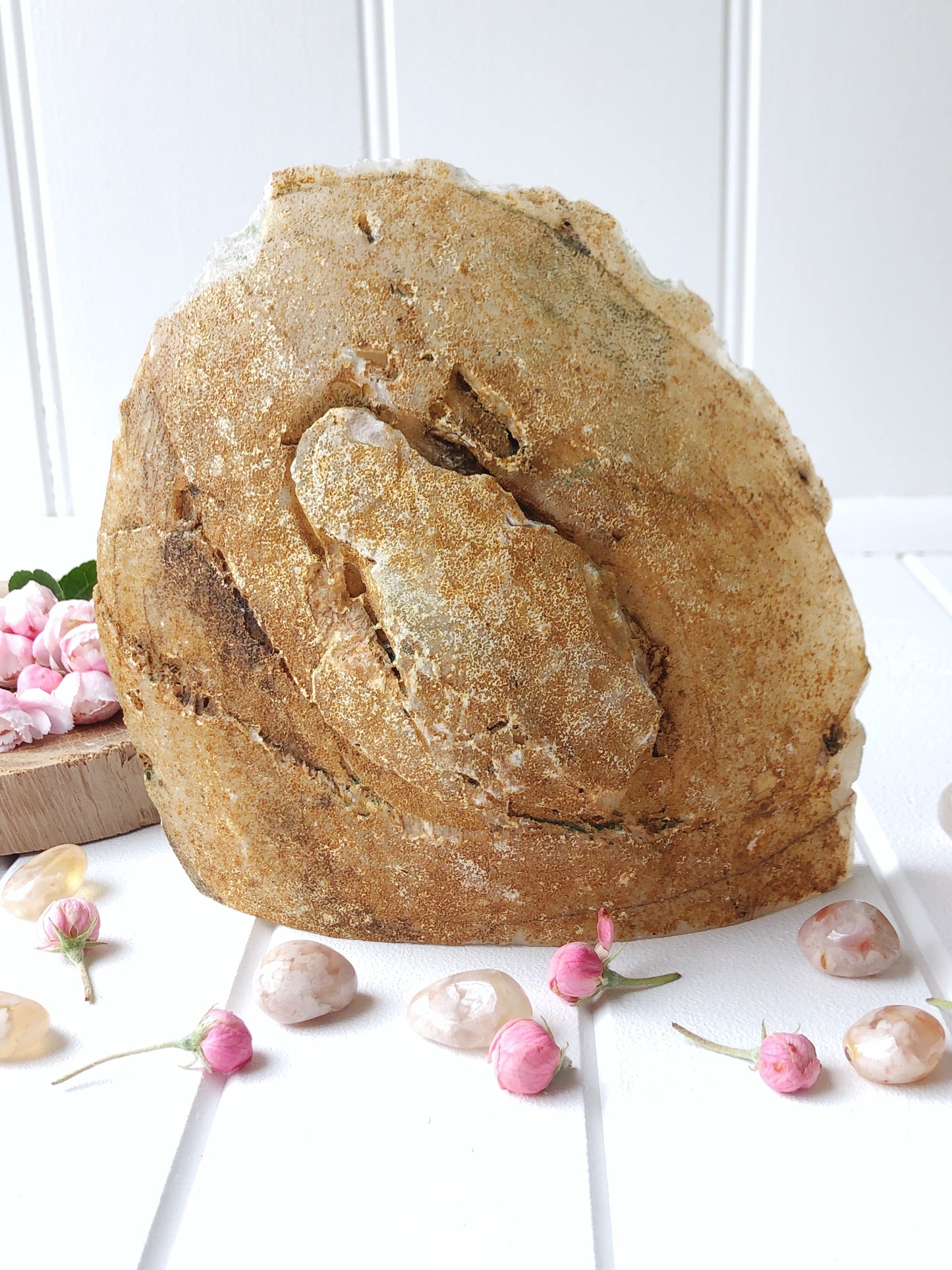 Flower Agate Standing Freeform with Druzy Geode