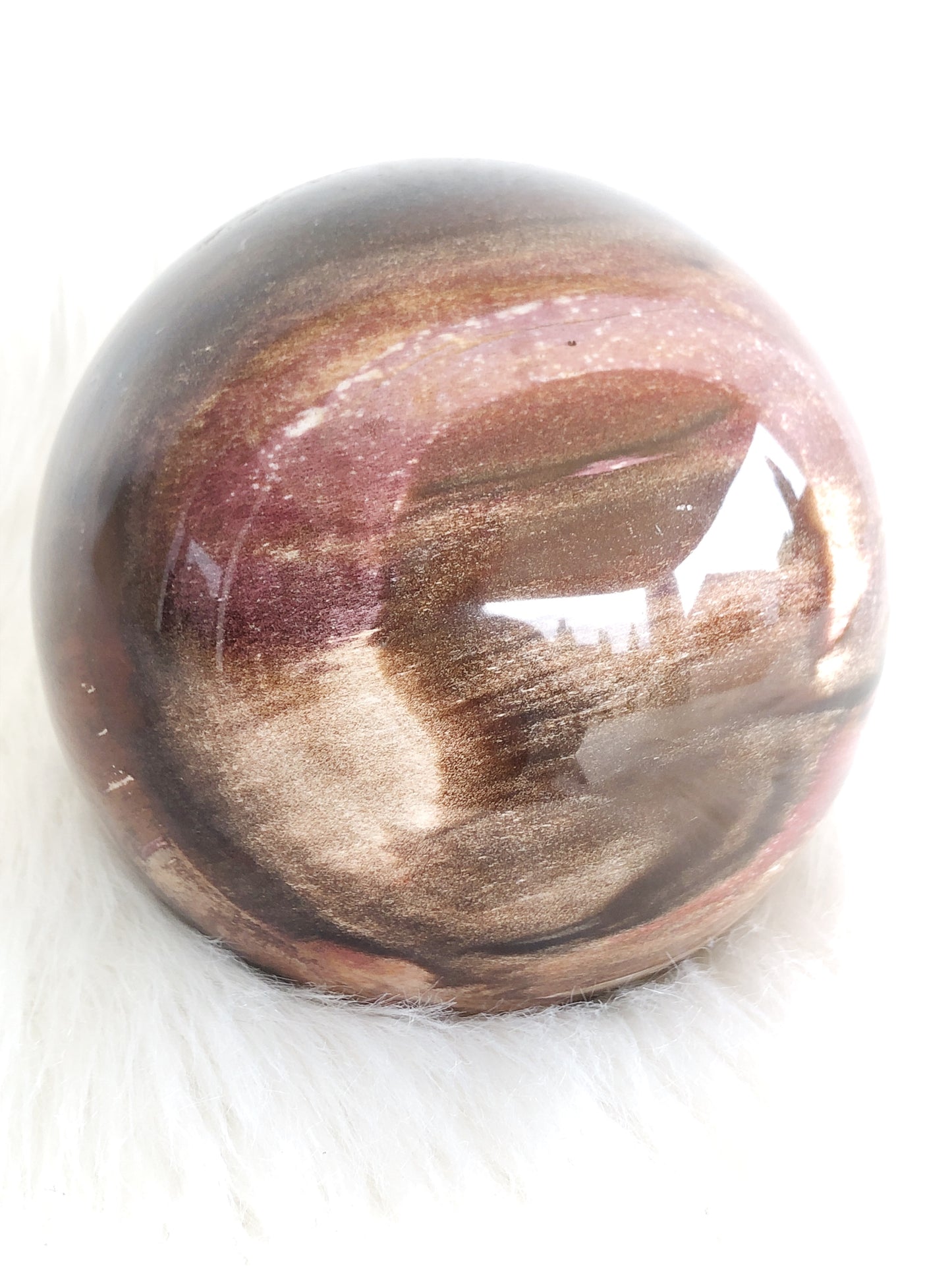 Extra Large Petrified Wood Sphere with Druzy