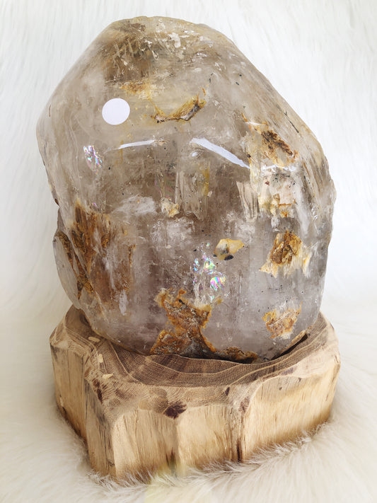 Elestial Dry Enhydro Clear Quartz Freeform