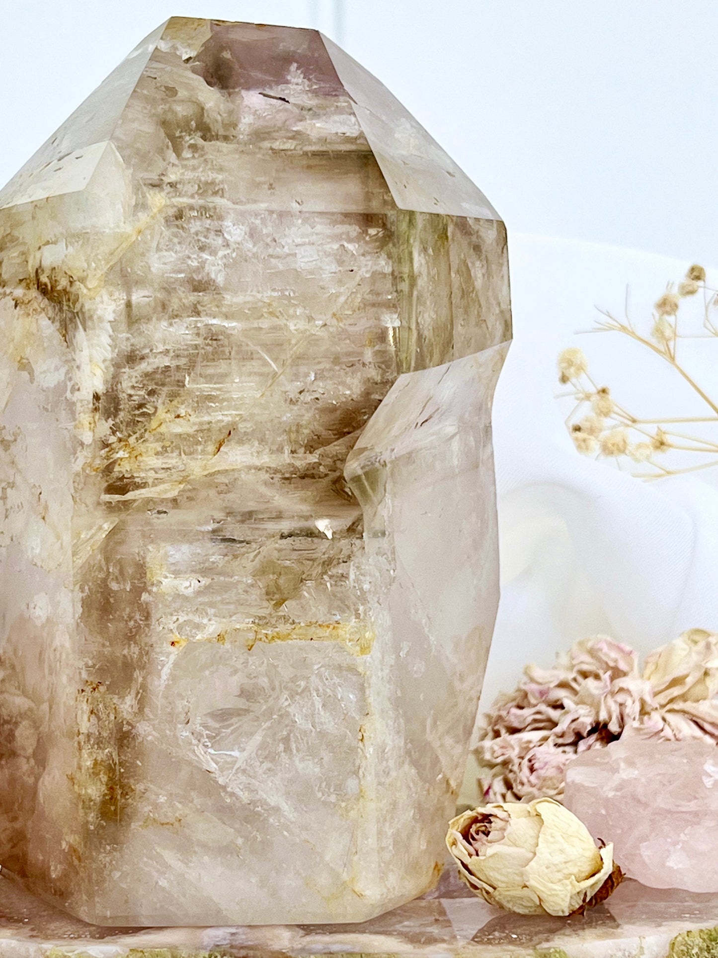 ‘Luminous Veil’ Elestial Smoky Lilac Amethyst Scepter with Enhydro 365