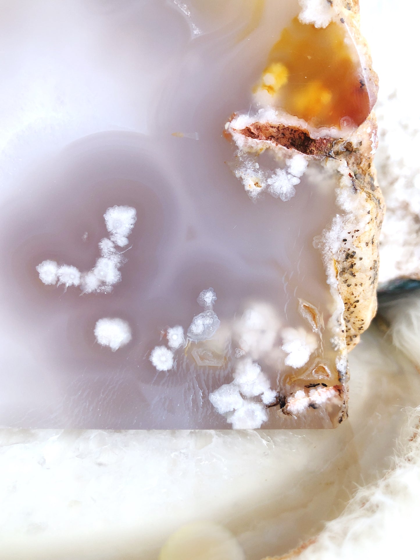 Enchanting Flower Agate Standing Geode Slice with Sparkling Quartz Druzy Pocket