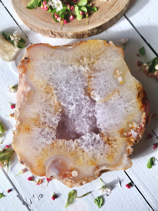 XL Carnelian Flower Agate Flat Slab