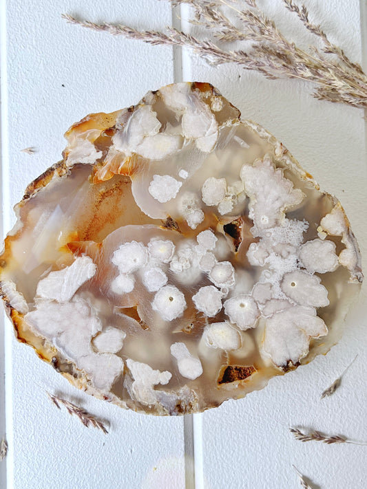 Flower Agate Druzy Slab