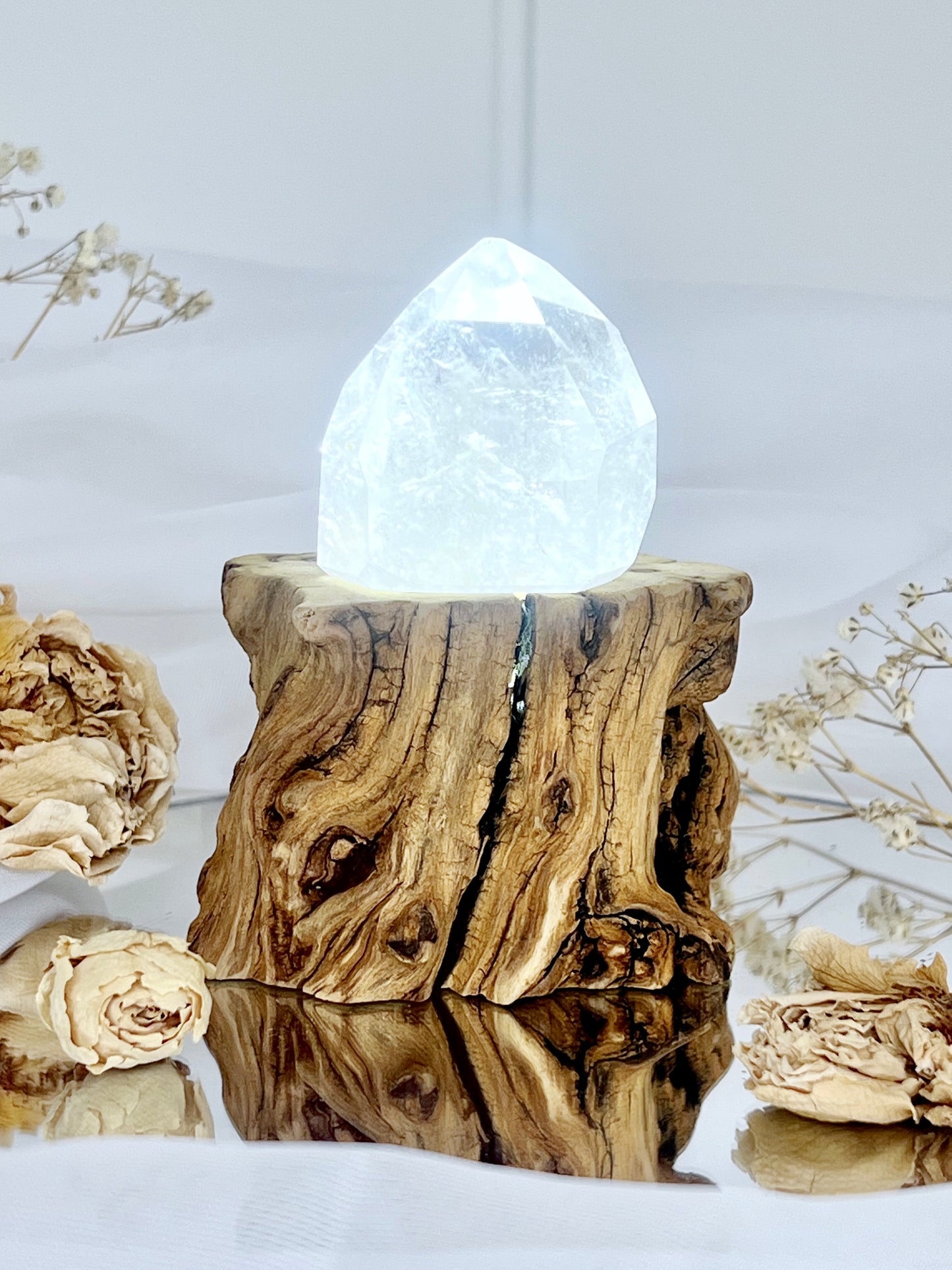 Enchanted Forest Wooden USB White Light Stand LS4