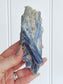 Blue Kyanite In Quartz With Garnet BKQ1