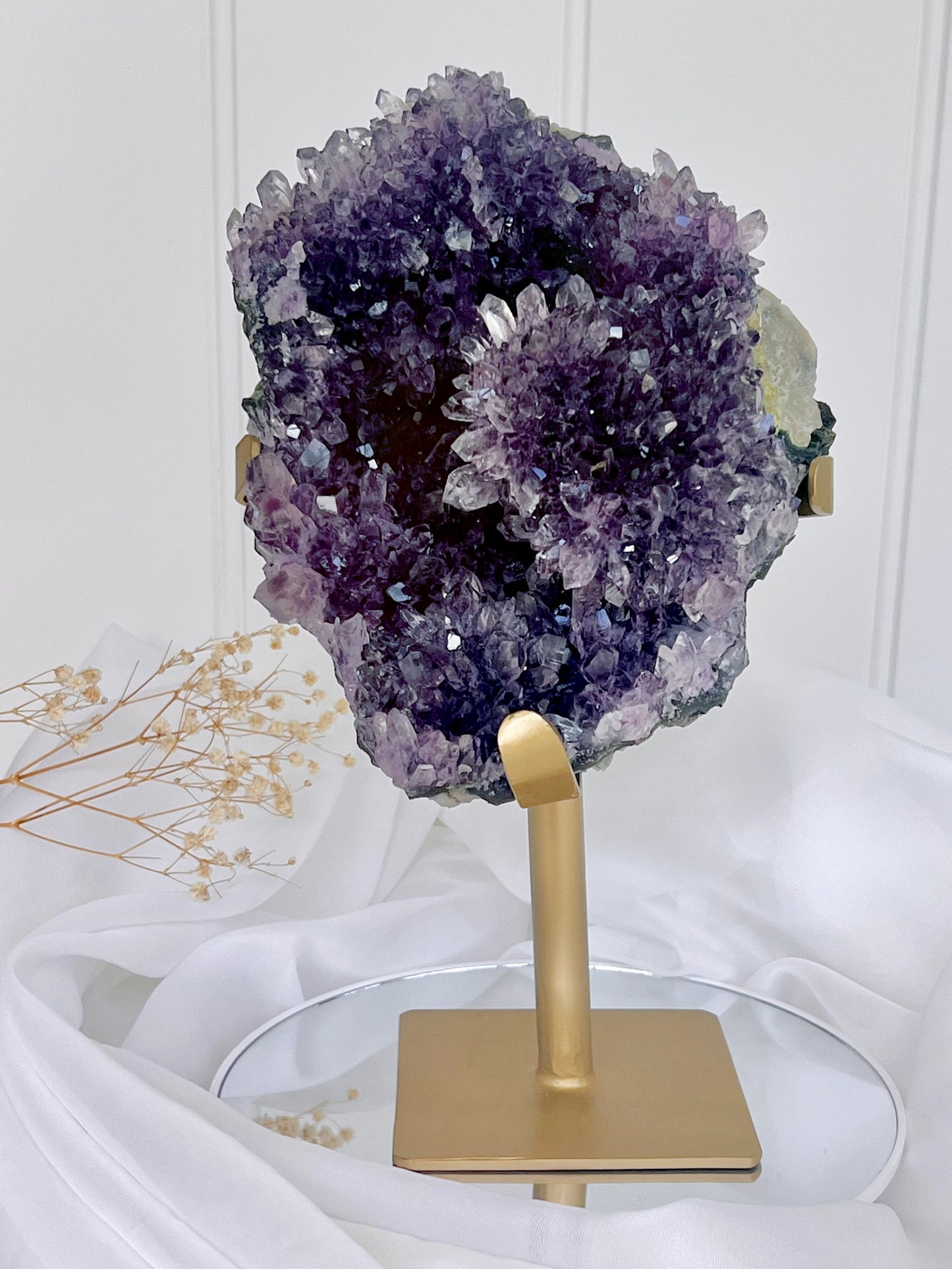 Payment Plan For Lisa