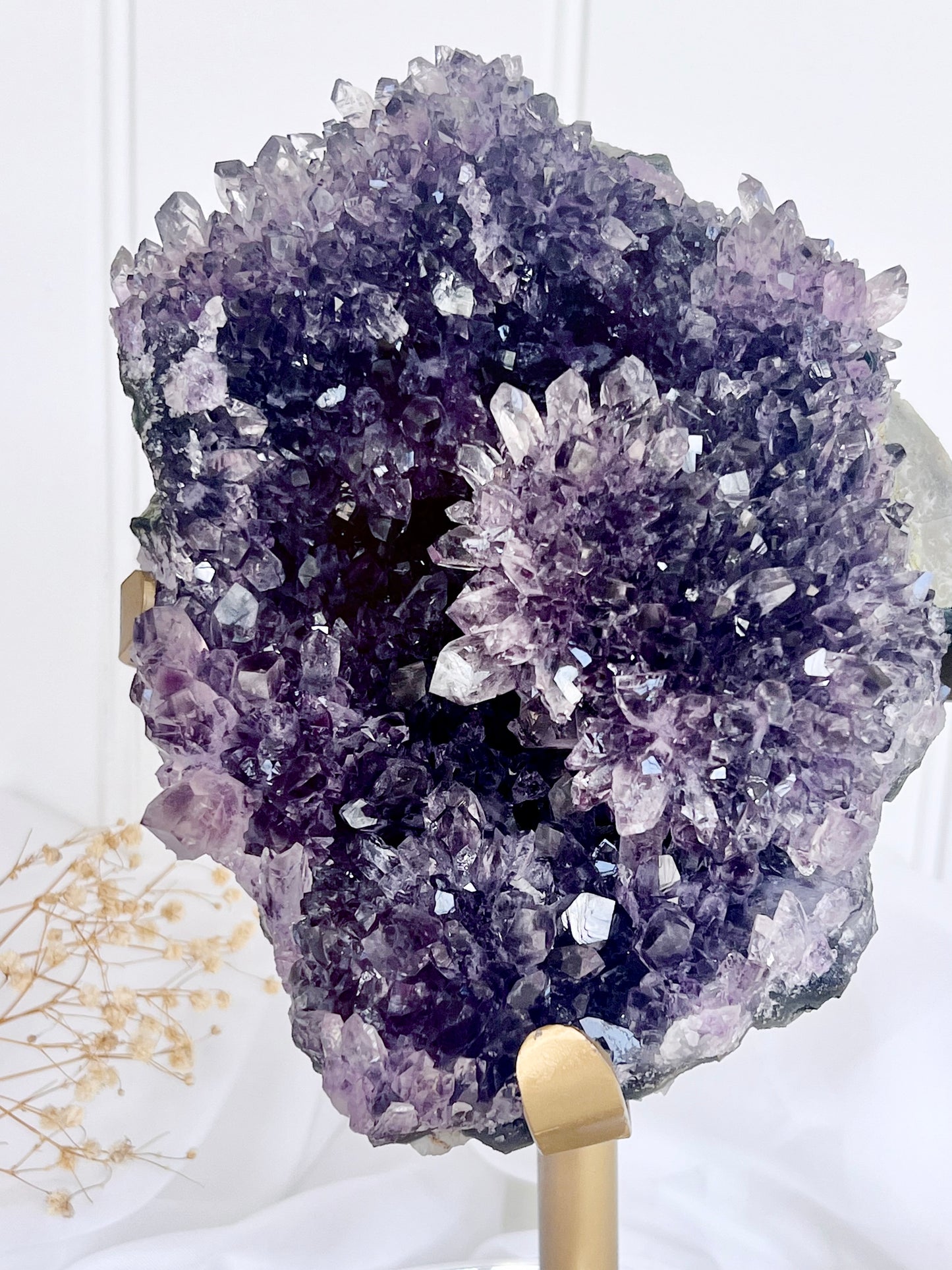 Payment Plan For Lisa