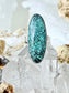 Elongated Oval Turquoise Marquise SS Ring TR2