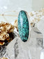 Elongated Oval Turquoise Marquise SS Ring TR2