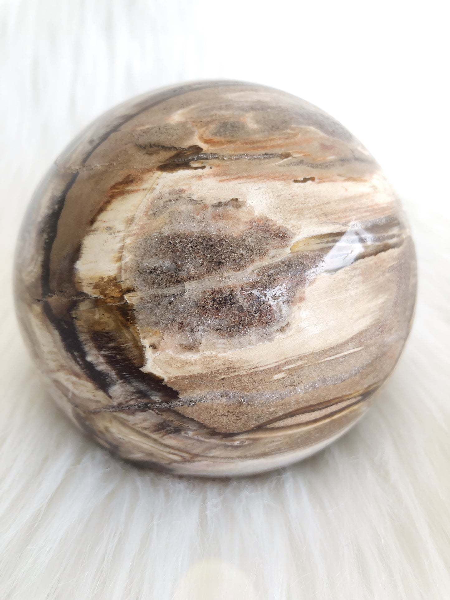 Large Petrified Wood Sphere