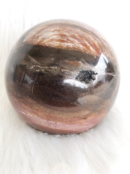 Extra Large Petrified Wood Sphere with Druzy
